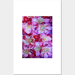 Peonies. Miracle of nature. Posters and Art